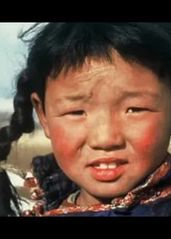 一个蒙古女孩的生与死的海报
