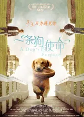 一条狗的使命(普通话的海报