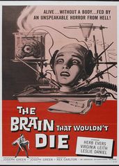 不死之脑的海报