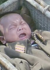中国大妈捡到日本弃婴的海报