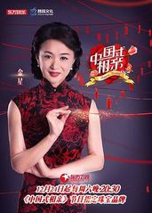 中国式相亲第一季的海报