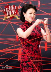 中国式相亲2017的海报