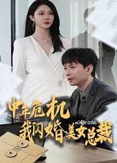 中年危机我闪婚美女总的海报