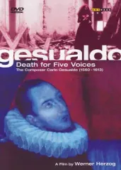 五种死亡的声音[DV的海报