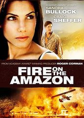 亚马逊之火的海报