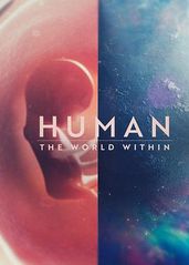人类：体内的世界的海报