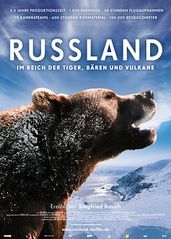 俄罗斯——在老虎，熊的海报