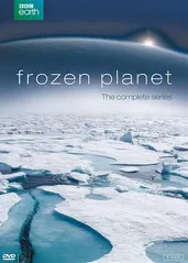 冰冻星球 第一季的海报