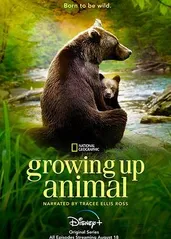 动物成长的�海报