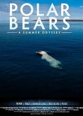 北极熊：一个夏天的奥的海报