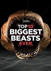 十大巨兽排行榜的海报