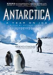 南�极洲：冰上的一年的海报