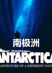 南极洲的海报