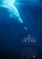 塑料海洋的海报