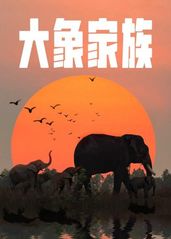 大象家族的海报