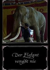 大象永不忘记的海报
