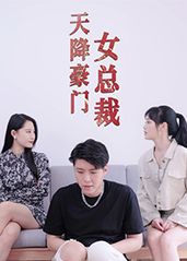 天降豪门女总裁的海报