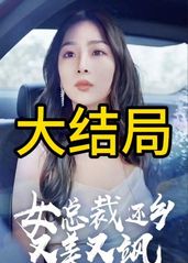 女总裁还乡又美又飒的海报