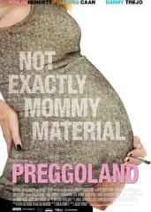 孕妇风波的海报