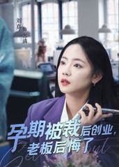 孕期被裁后创业老板后的海报