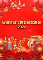 安徽省老年春节联欢晚的海报
