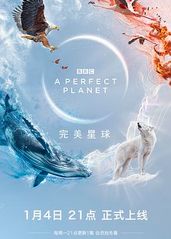 完美星球(英语)的海报