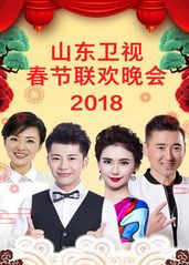 山东卫视2023春节的海报