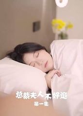 总裁夫人不好追的海报