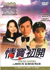 情窦初开1978的海报