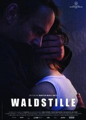 意外Waldstil的海报
