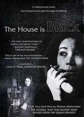 房屋是黑的的海报