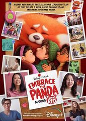 拥抱小熊猫：青春变形的海报