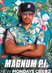 新夏威夷神探   第的海报