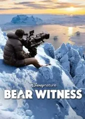 极地��熊踪的海报