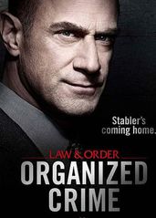 法律与秩序：组织犯罪的海报