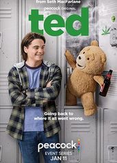 泰迪熊(剧版)的海报
