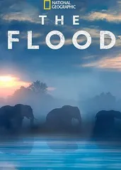 洪水 2018的海报