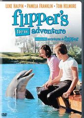 海豚新历险记的海报