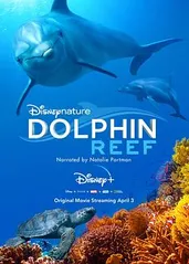 海豚礁的海报