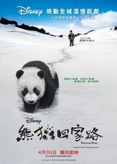熊猫回家路的海报