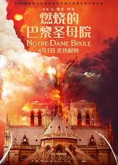 燃烧的巴黎圣母院的海报