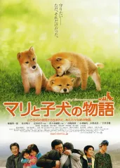 爱犬的奇迹【影视解��说的海报