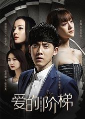 爱的阶梯[DVD版]的海报