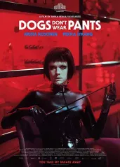 狗不穿裤子的海报