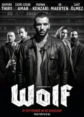 狼(2013)的海报