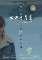 猪肉与月亮【影视解说的海报