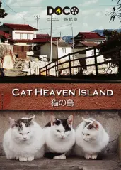 猫之岛的海报