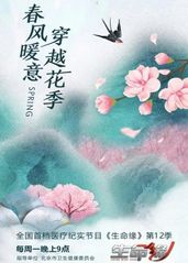 生命缘第12季的海报