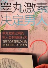 睾丸激素决定男人的海报