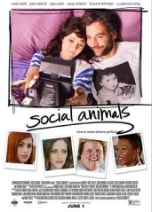 社交动物的海报